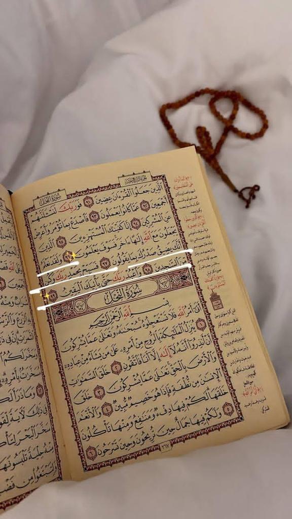 أتدري معنى أن تُعتــق؟
لا تسمع للنارِ حسيسا، ولا تجد لها مسّا، ليس مَن قام كمن رقد، وليس من عمِل كمن زهد..🤎
اجتهد .. فإن العتق كل ليلة..🙌