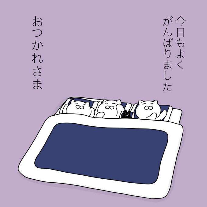 大和猫 tweet media