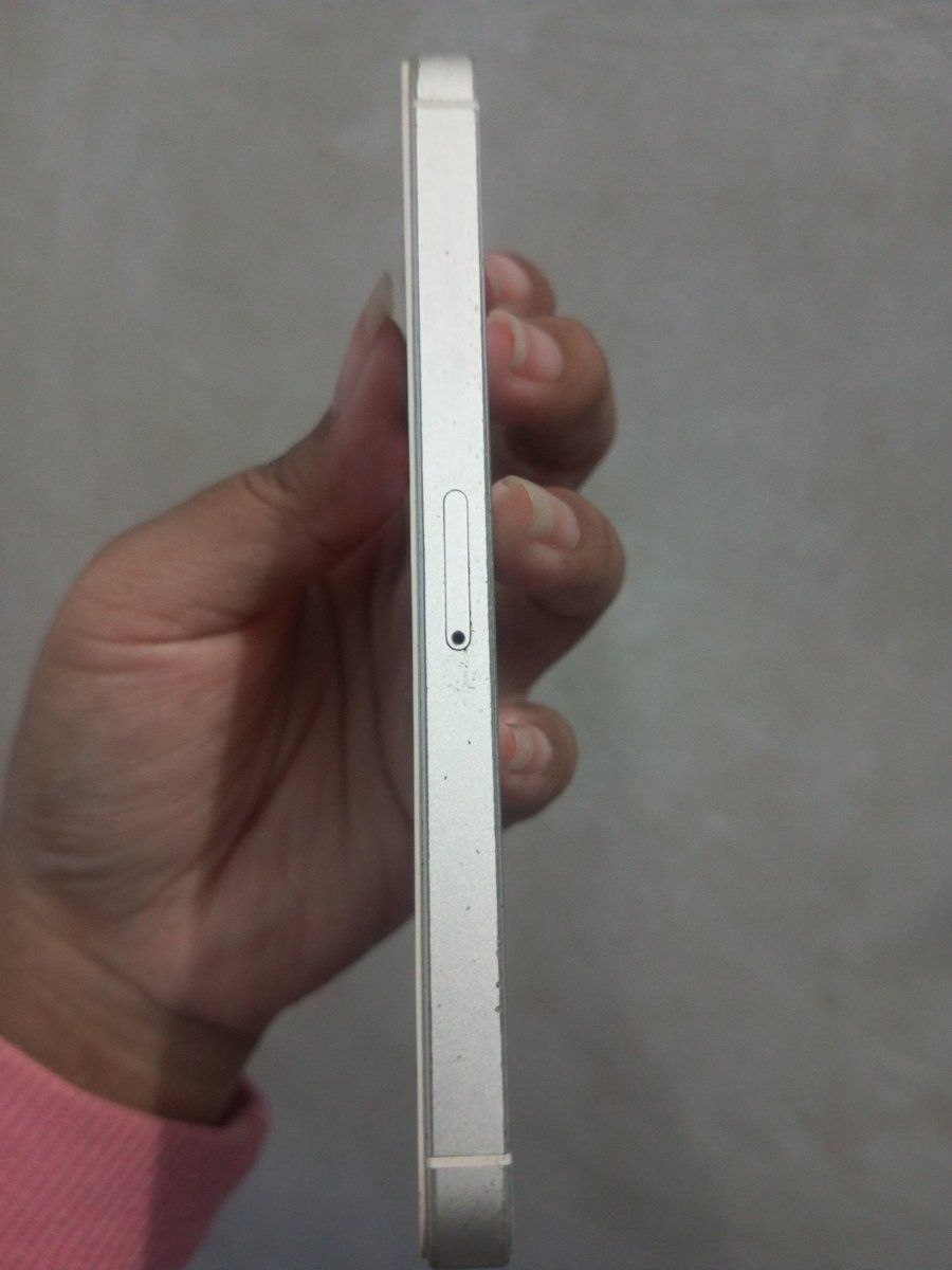 Risol mayo tweet media