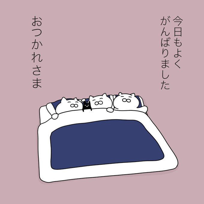 大和猫 tweet media