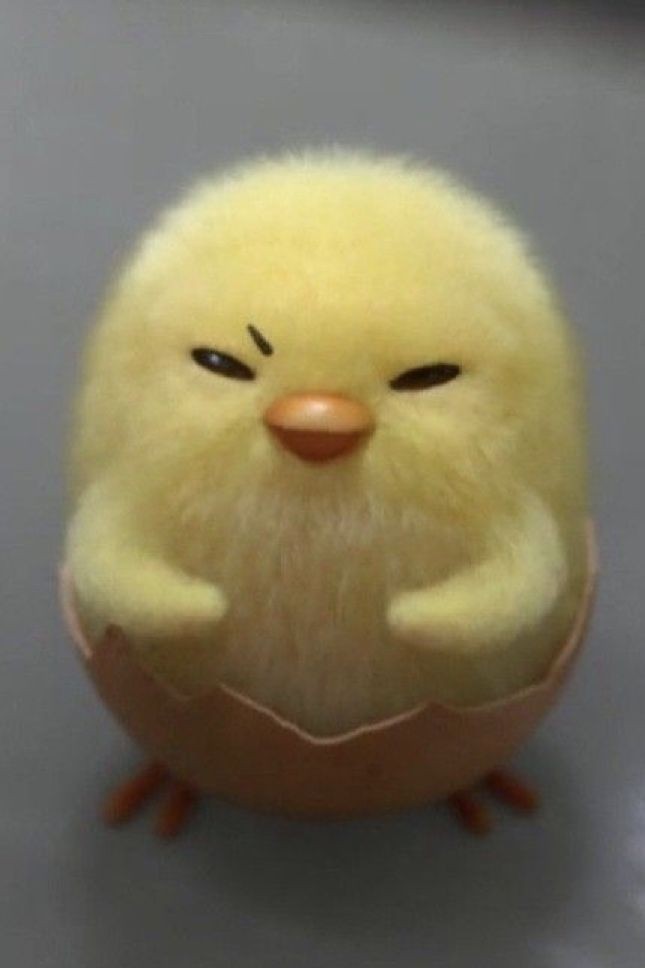 ✧˖히루๓ tweet media