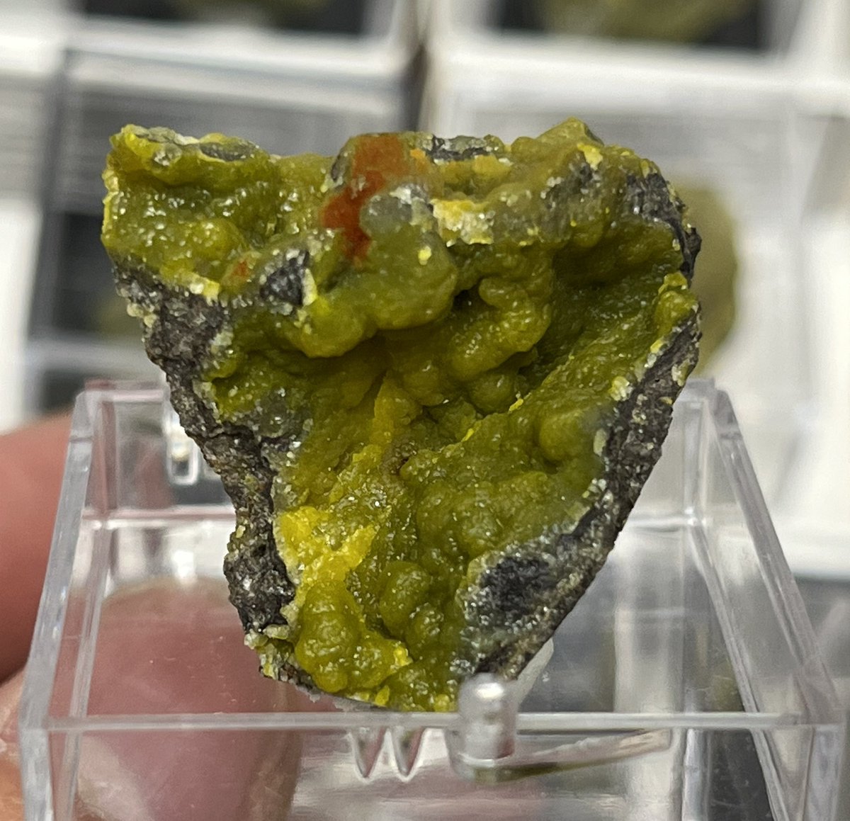 こちらも新産のイエロースミソナイトです。 昨年のうちに入荷しており