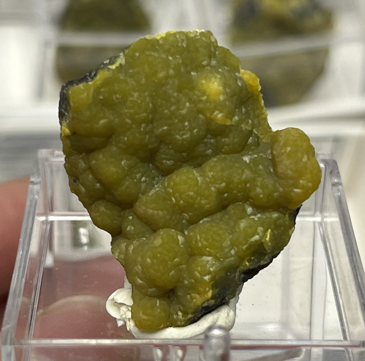 こちらも新産のイエロースミソナイトです。 昨年のうちに入荷しており