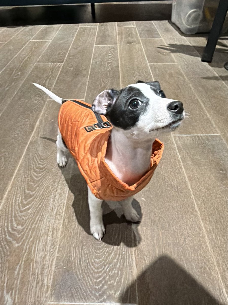 Ξthan Pierse 🦙🤖 tweet media