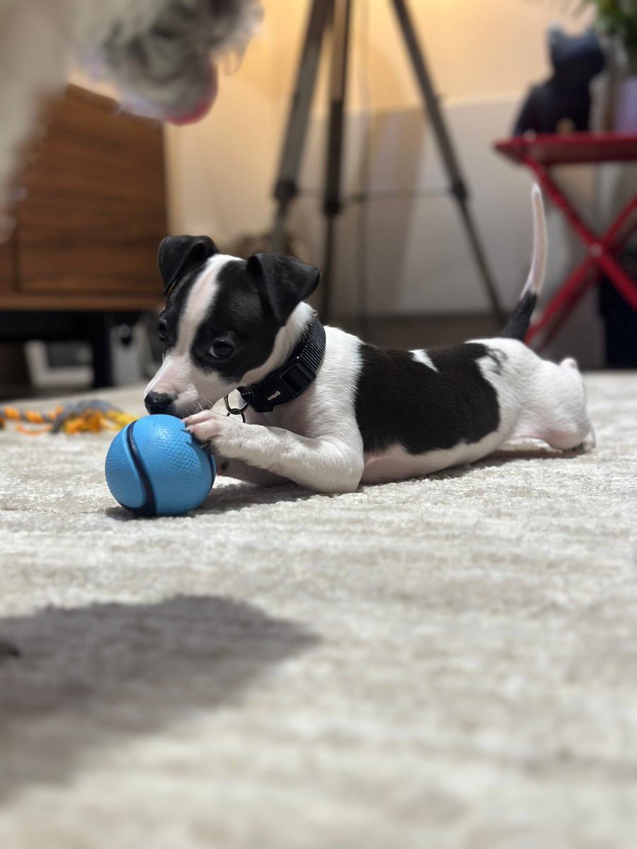 Ξthan Pierse 🦙🤖 tweet media