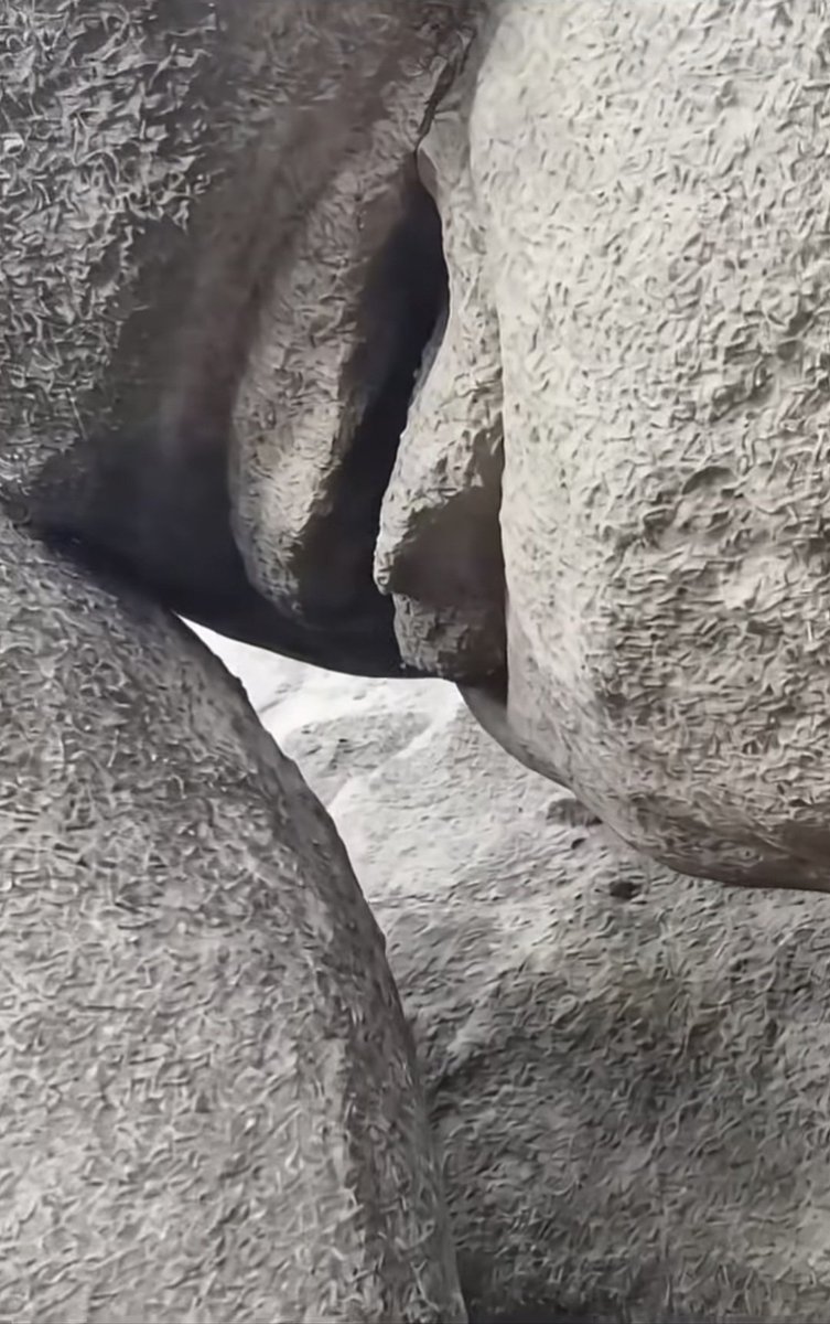 눈누난나 tweet media