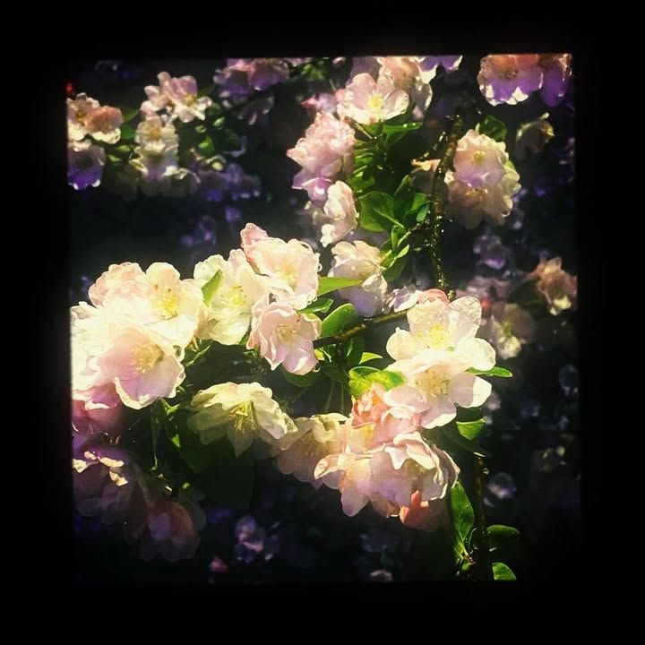 aestheticpost's tweet photo. https://t.co/LxBvQsnwOw