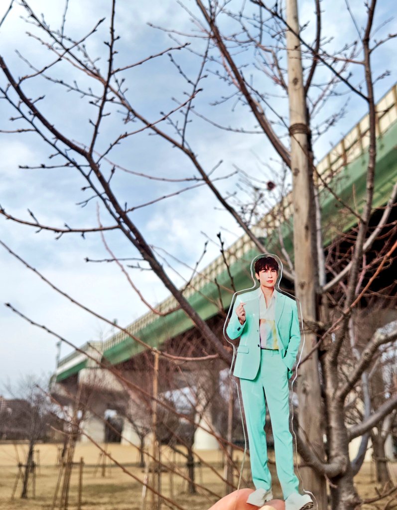 ayako_y_'s tweet photo. Mewの桜の木、たくさん蕾が付いてます🌸
先っちょに1輪だけ咲いていました🌸

#MewSuppasit
@MSuppasit 
@mew_BD2022 https://t.co/PK2Z1n93XC