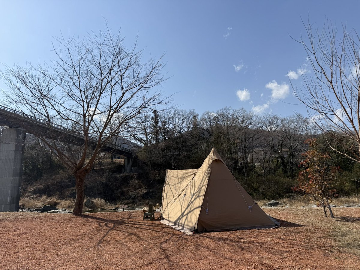 なかしょうcamp tweet media