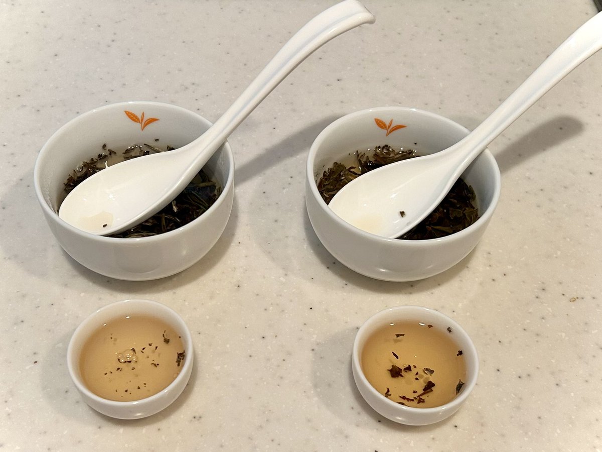 R_TeaReport's tweet photo. 碗泡形式で
水の違いで味がどの程度変わるのか
やってみました。

←自宅の水道水(首都圏)
→サントリー南アルプスの天然水

淹れたお茶と、沸かしたお湯単体でも味を比較してみました

結果はツリーに書いていきます(続く) https://t.co/CzN73J73a5