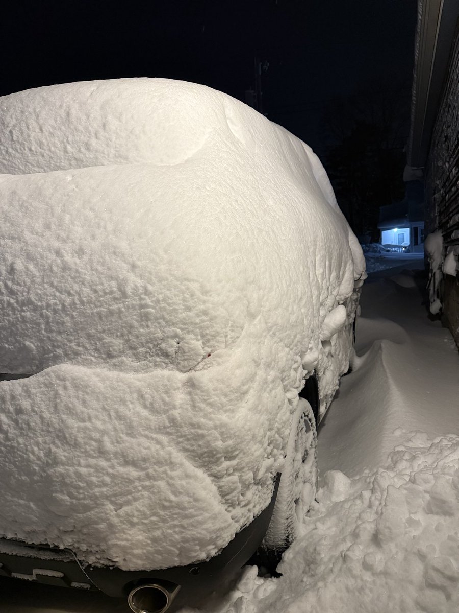 KarenT 🇺🇸 tweet media