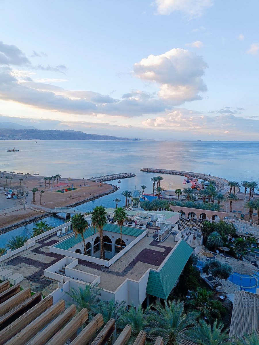 Simon Michaeli tweet media