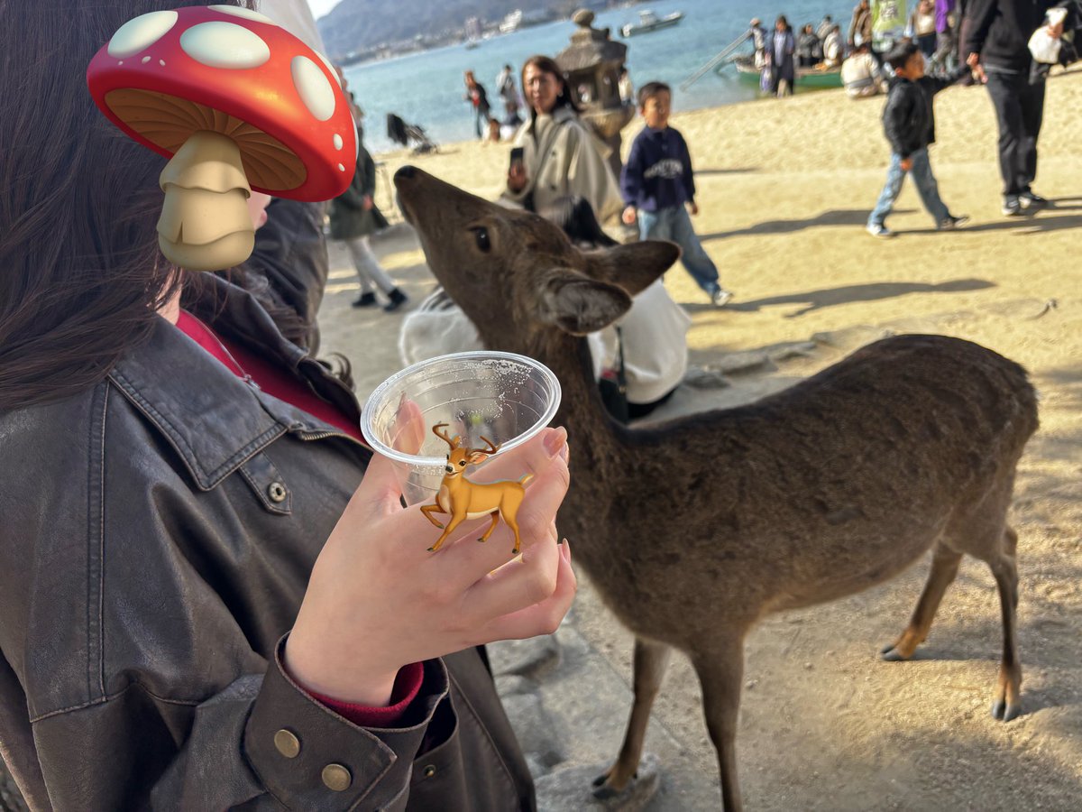 iKA_1203's tweet photo. 𝐃𝐚𝐲3🤟2026.02.23 https://t.co/3HaLxfUES9