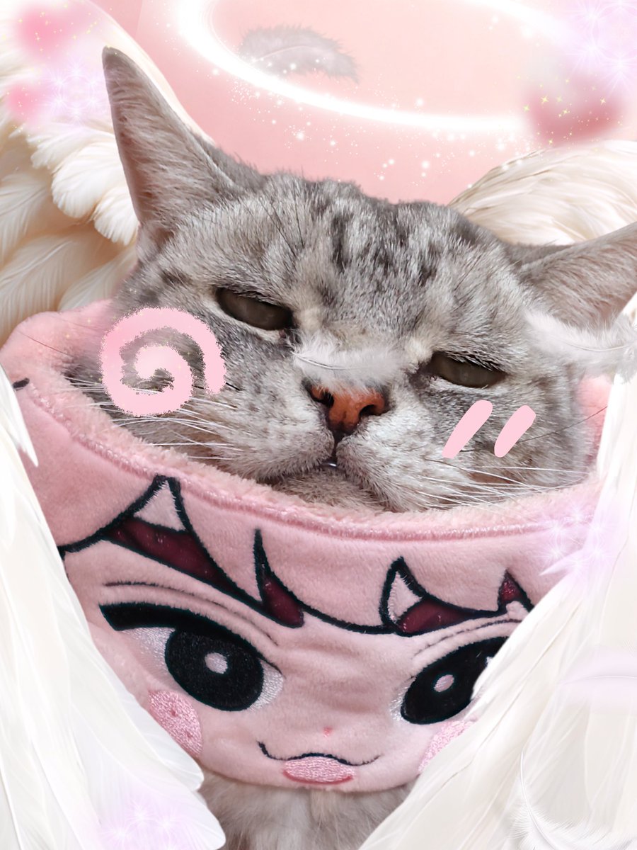 宇宙-sora-そぅちゃん (@soranosuke29) / Posts / X