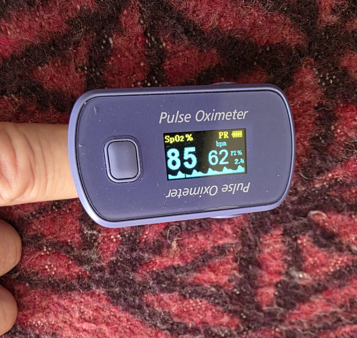 Brett Ben Raphael tweet media