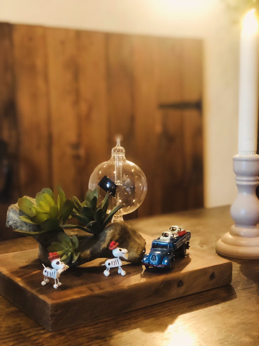 今夜2/24(火)は隔週の初心者ウクレレグループレッスン！
⁡
𝟙𝟡:𝟘𝟝〜𝟚𝟘:𝟛𝟝まで。
⁡
入会金無料の𝟚𝟝𝟘𝟘 お茶付き。
(初回のみファイル代𝟝𝟘𝟘)
⁡
お気軽にお越しください♪( ¨̮ ) 
⁡
#ℂ𝕒𝕗𝕖𝟚𝟘𝟚 #水戸
#ウクレレ #ウクレレレッスン
#初心者 #永遠の初心者クラス