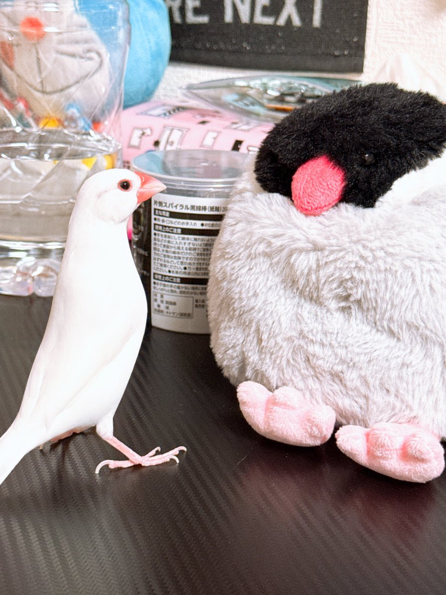 すずc (@ssrin147mj) on X