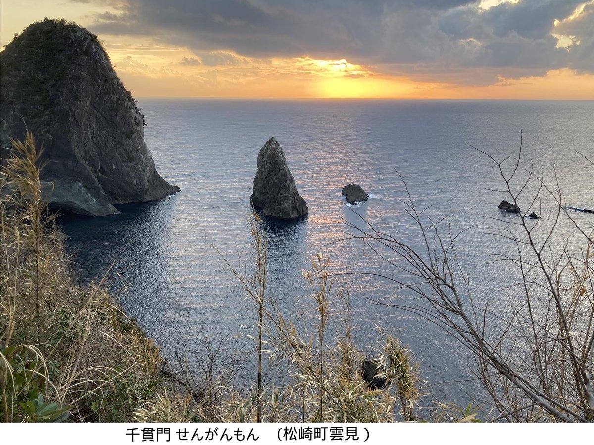 YoKK246's tweet photo. Feb 22-23, 2026　サクラ狩（青野川/南伊豆町、雲見神社/松崎町） https://t.co/0en9mo5DpH
