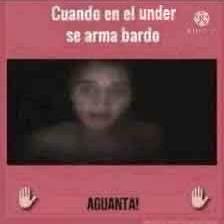 sangre pura no depura tweet media