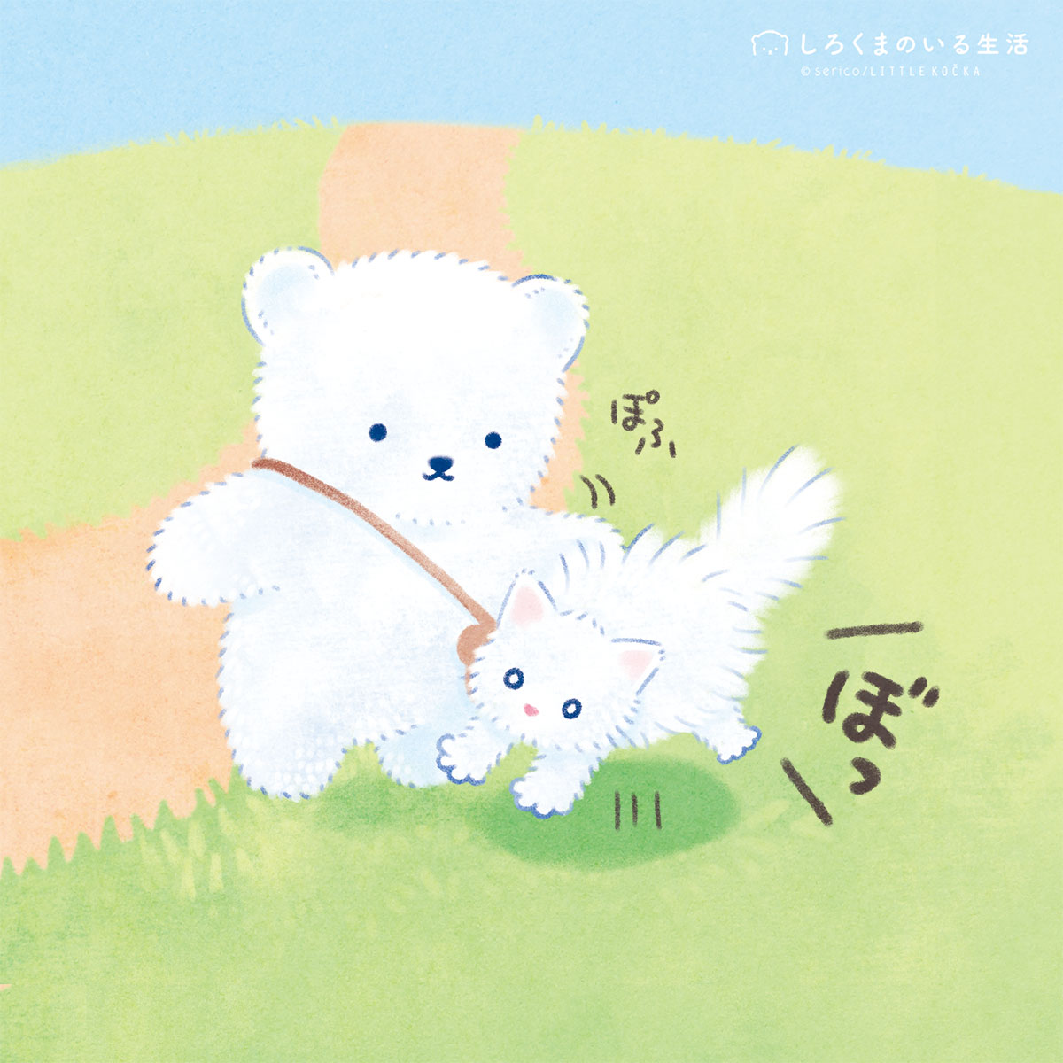 しろくまのいる生活🧸serico tweet media