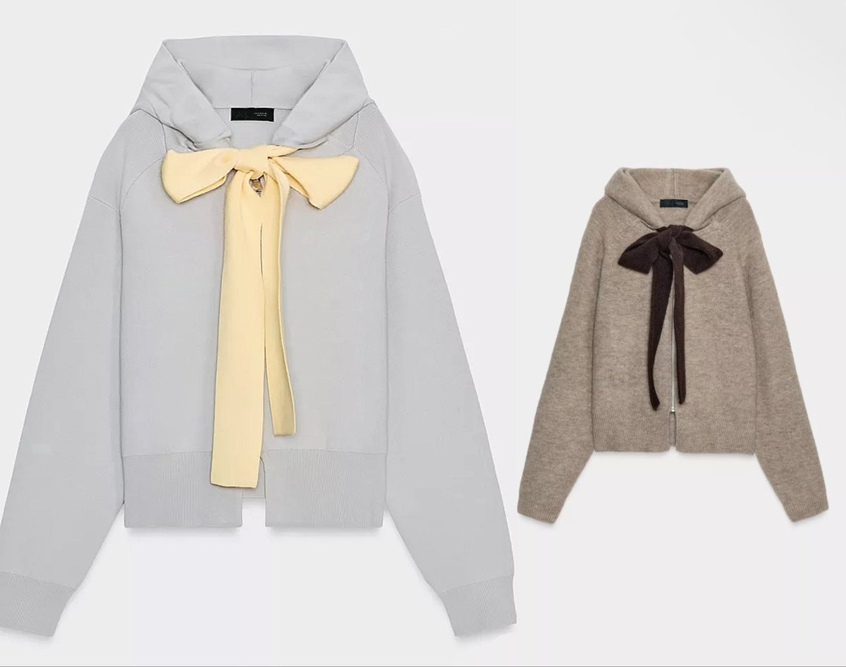 バズってたZARAのリボンパーカーいろち出てる
