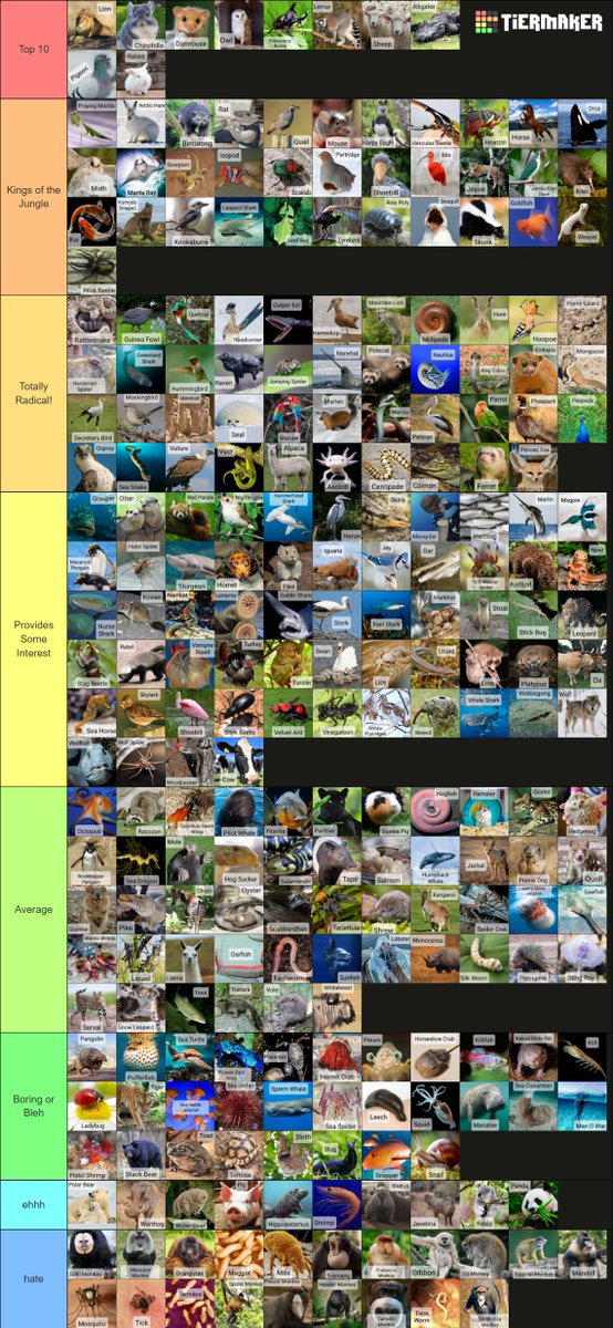 🥉 Pipkin Pippa 🔌🐰 Phase-Connect tweet media