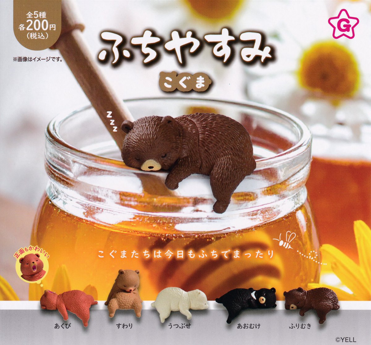 🎀2月24日完売のお知らせ🎀 ▶︎ ふちやすみ こぐま 皆様のご来店