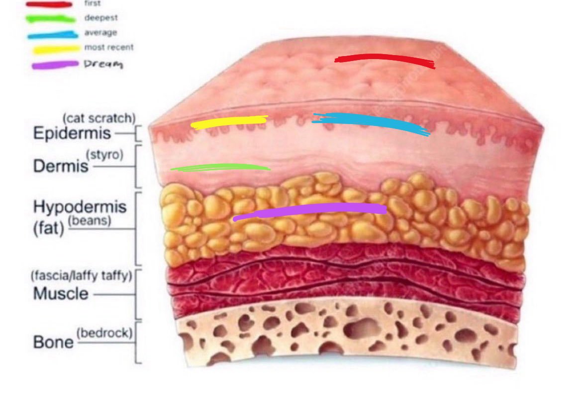 🍓sprout of shtwt🩸 tweet media