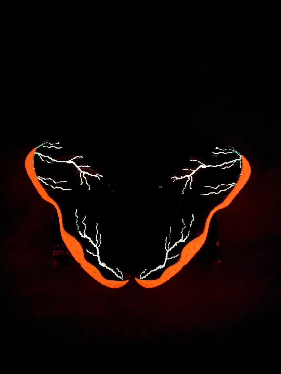 Que comiencen los juegos del hambre…🤩