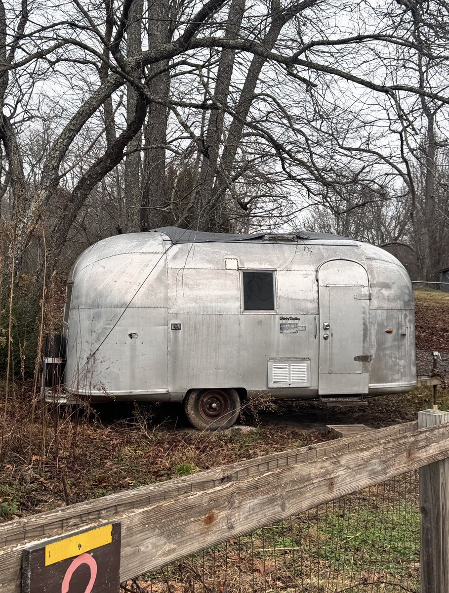 RVbyLIFE's tweet photo. Cute as a {silver} button 🧵 https://t.co/g4j0J9bKvy