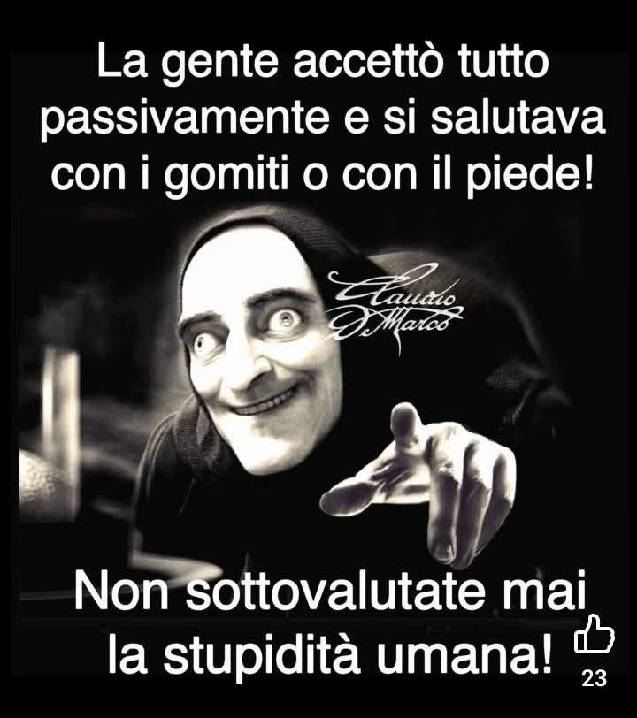 Daniela Golin (@daniela_go90642) on Twitter photo 