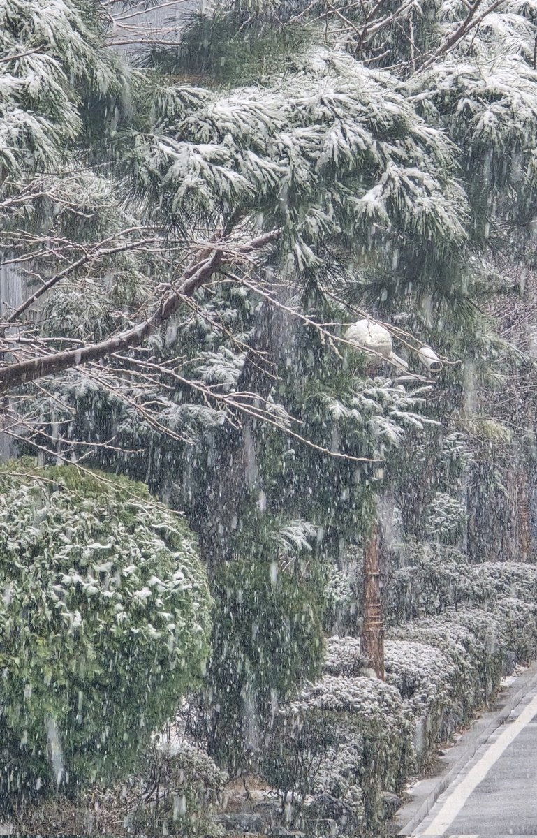 모두가 '이게 무슨일이고 머꼬...' 를 하고계심.
