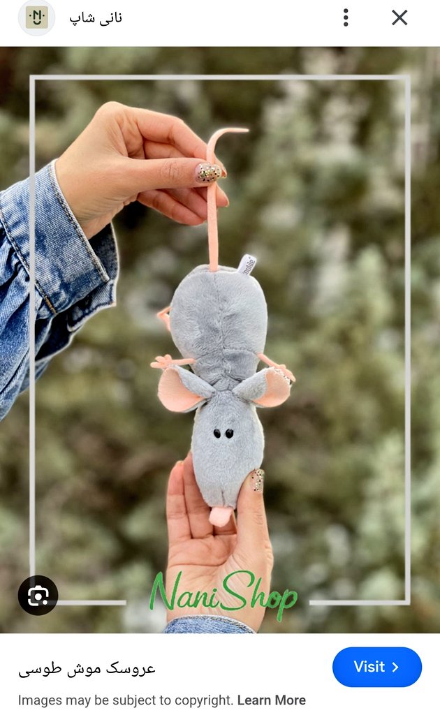 امیرآریان‌ ارجمند♕𓃬☼🇮🇷 tweet media