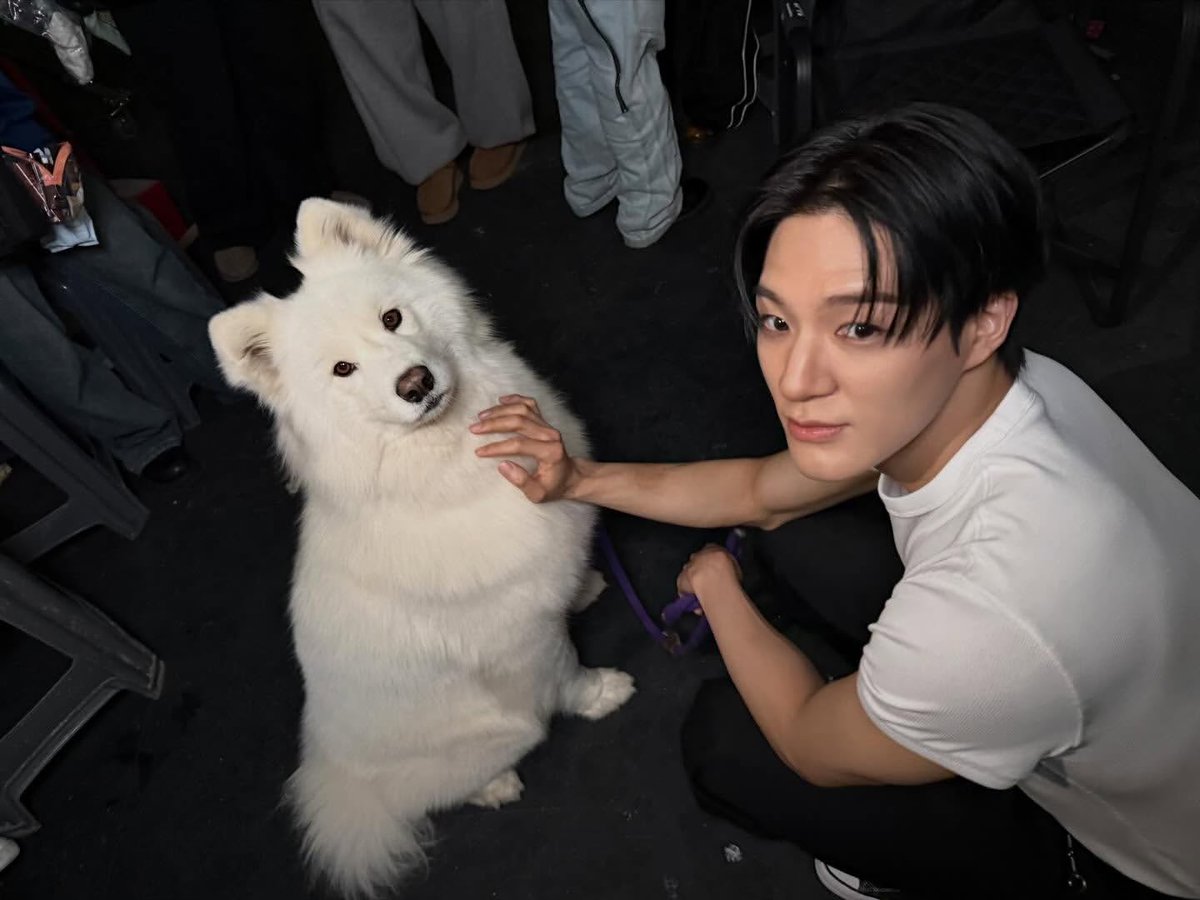 กุเอ็นดูแท้้้้้้้ แล้วมองกล้องทั้งคู่ทั้งเจโน่ทั้งน้องซามอยด์55555555555555 แล้วโน่ใส่เสื้อยืดขาวคู่กับสีขนยิ่งกว่าแฝด น่ารักเฟ้ย