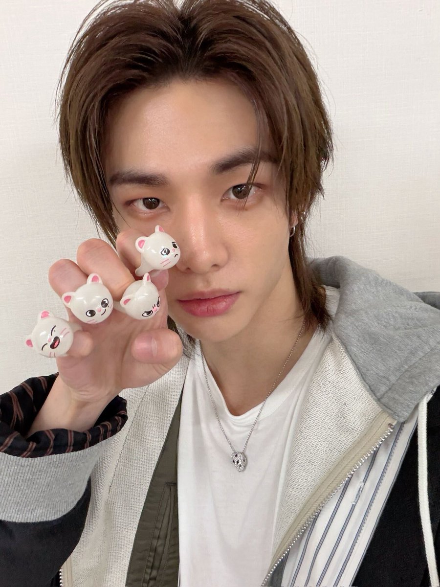 もう全員かわいいよ😍 ヒョンジン持ってるの見たら全種類ほしくなる❕❕❕