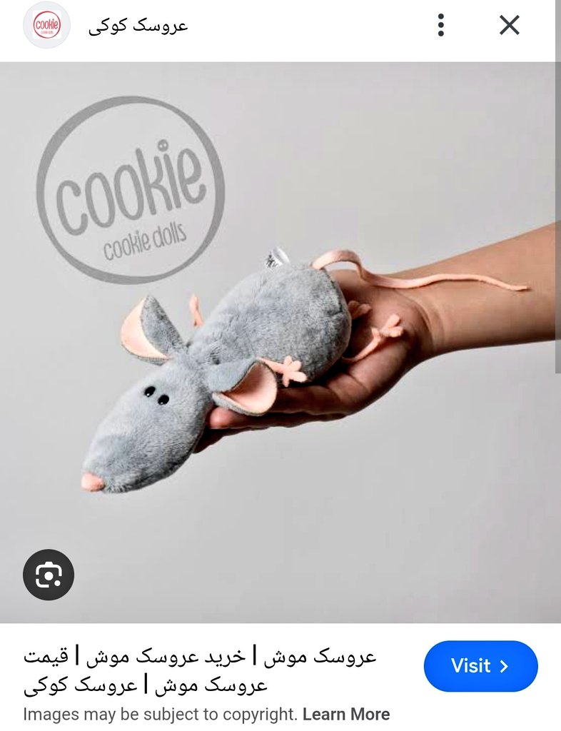 امیرآریان‌ ارجمند♕𓃬☼🇮🇷 tweet media