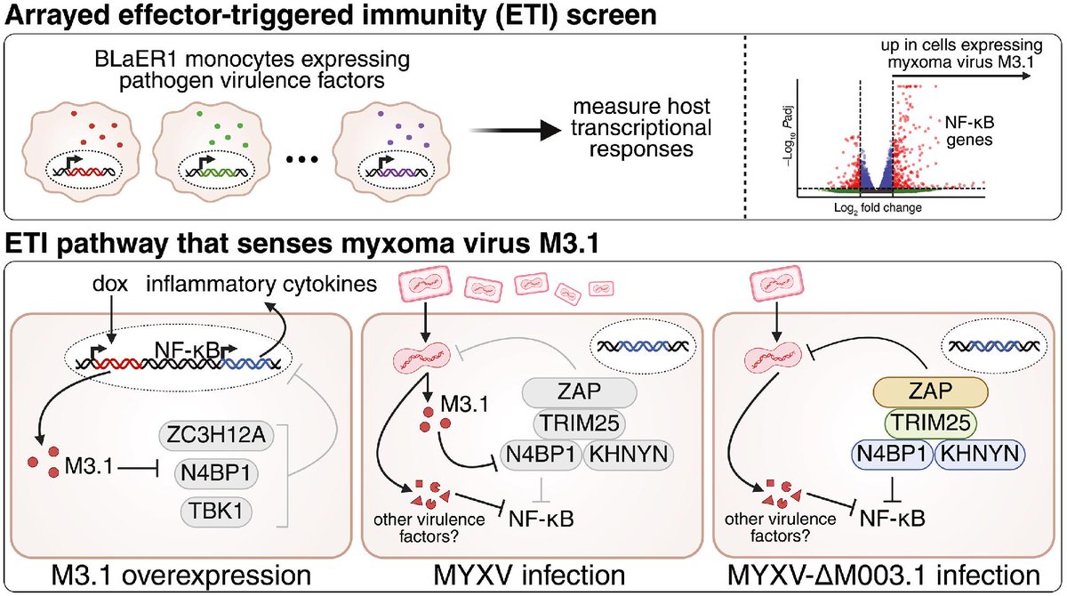 Science Magazine tweet media