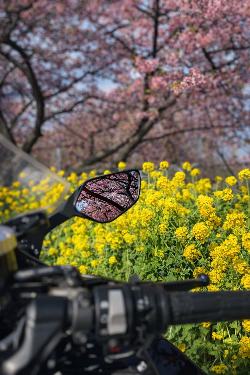 Vr8Dm's tweet photo. #バイク好きな人と繋がりたい　＃バイク乗りと繋がりたい　#バイクのある風景　#ツーリング　#バイク写真部　
三浦半島ツーリング！ https://t.co/XTTcUvgoS5