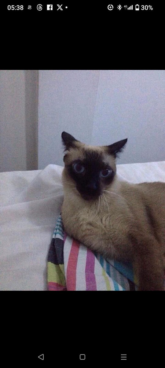 BUONGIORNO A RUTTI ...ehm scusate , qui in  Brasile uso la tastiera brasiliana. #BuongiornoATutti da #Fortaleza