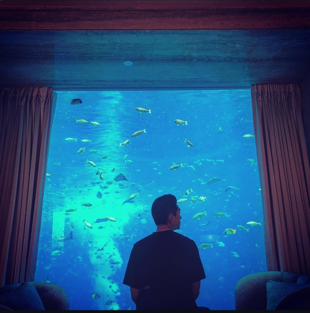 🔱 POSEIDON。 tweet media