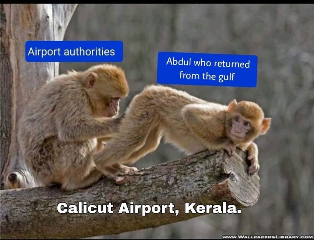 True  #TheKeralaStory2 😭😭