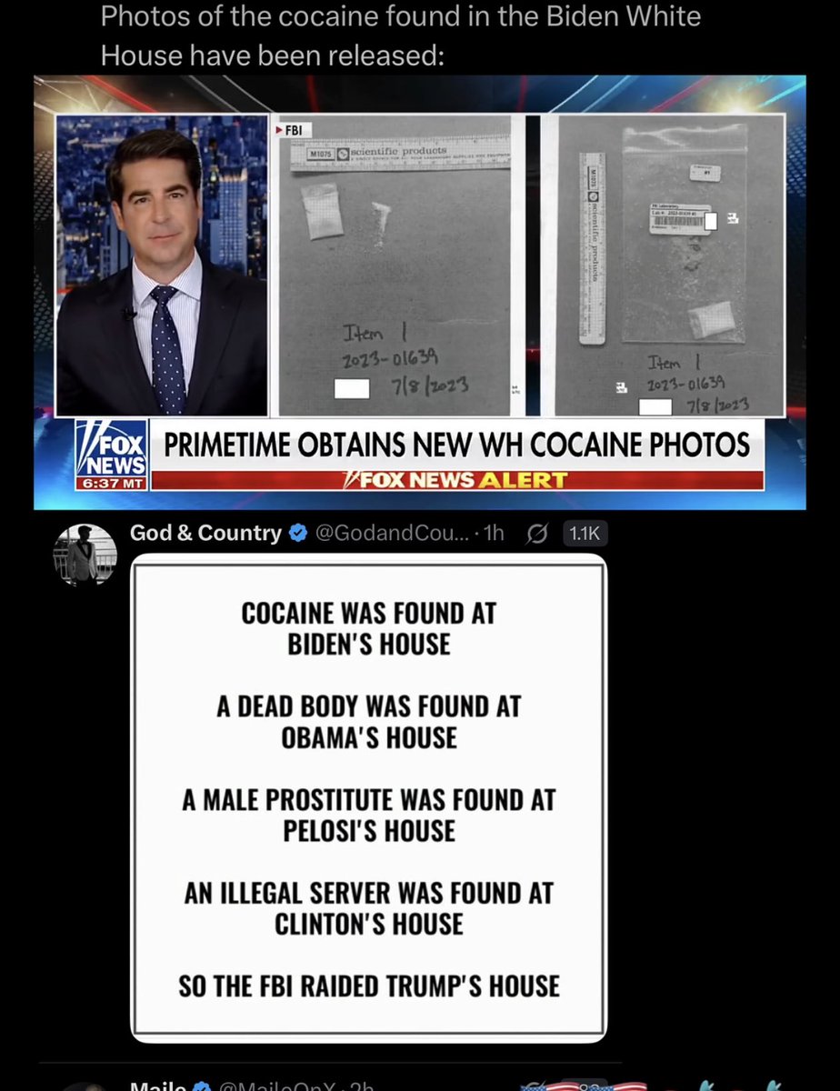 michael 🇮🇹🇺🇸 (@mikeymangin) on Twitter photo 