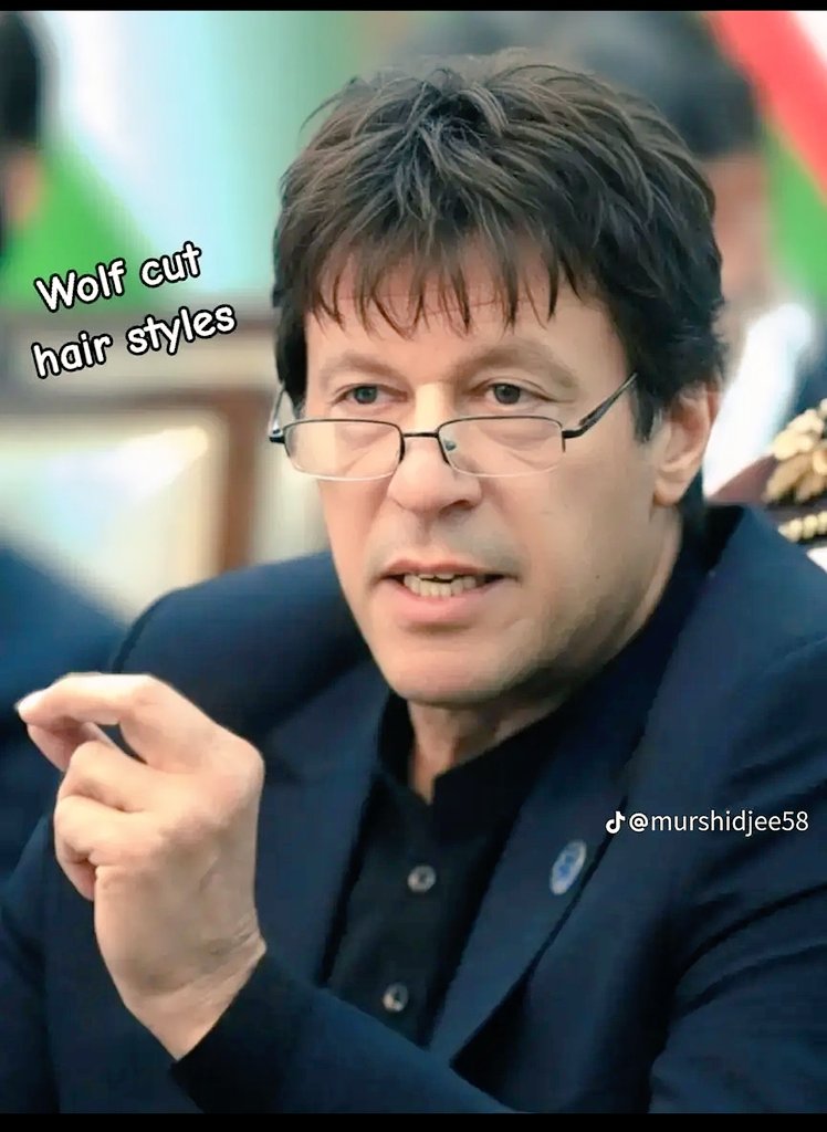 🚨شجرہ نسب عمران احمد خان نیازی

اس تحریر میں عمران خان کا خاندانی پس منظر پیش کرتی  ھوں تاکہ آئندہ کے لیے ریکارڈ رھے اور اخلاقیات کا جنازہ نکالنے والے افراد محتاط رھیں:

عمران خان کے والد اکرام اللہ خان نیازی نے 1946ء میں "امپیریل کالج لندن" سے سول انجینئرنگ میں اعلی تعلیم حاصل