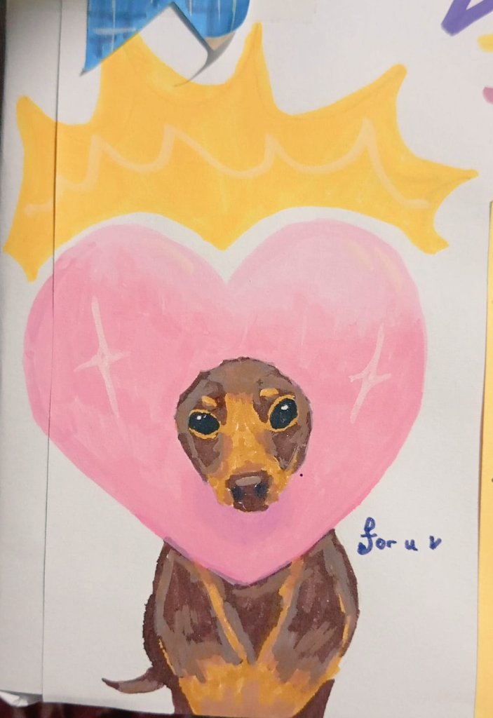 ALuberto2's tweet photo. 🐶💗 https://t.co/zN9YqOOb3p