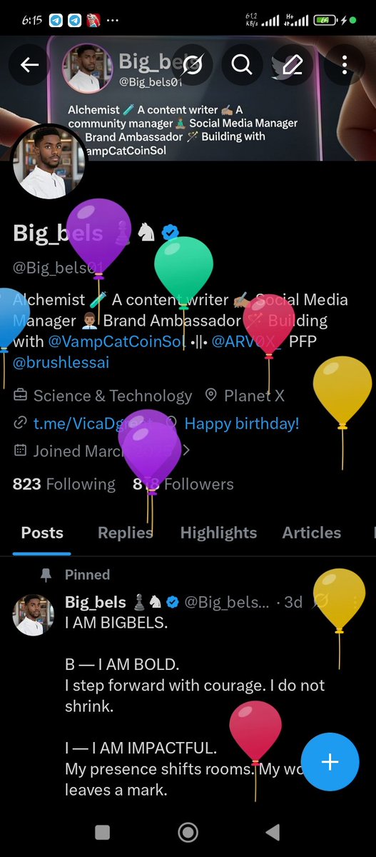 Big_bels ♟️♞ tweet media