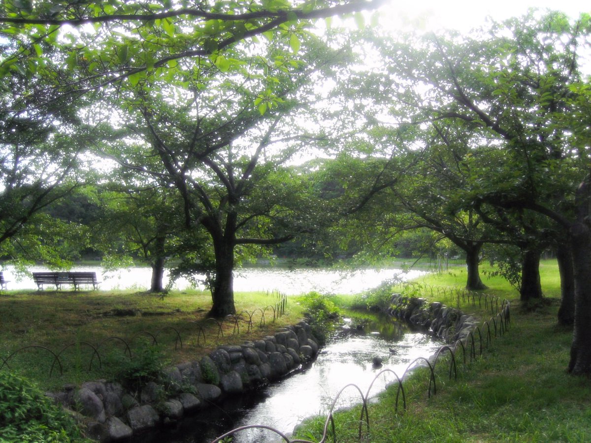 調子 (@nbfaqldnuvdcd0o) on Twitter photo 