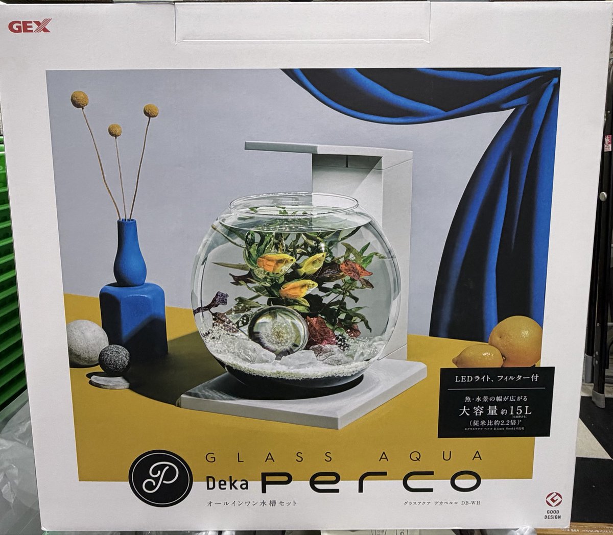 特大荷花缸 • 金魚缸 新商品‼️ GEXより グラスアクア デカペルコ DB-WH グラスアクア