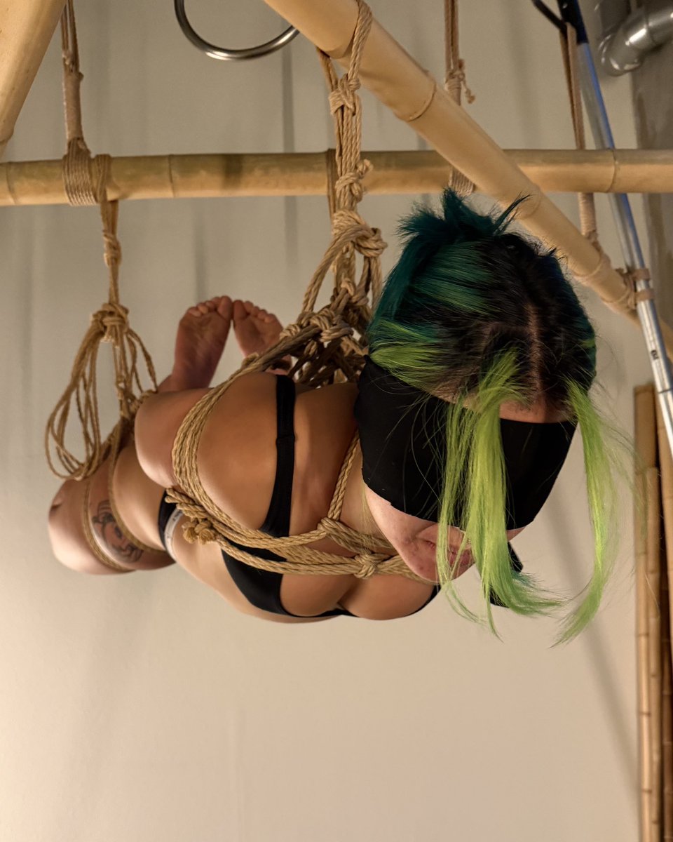 Floating Hogtie
•
Six feet off the ground. #shibari
<a href="/DelilahKnotty/">Blackfish Rope Works</a>