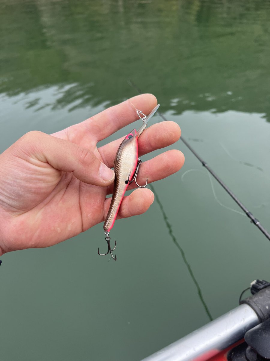 plotz_lure 2月チャレンジ26開催中です🎣 (@plotz_lure) / Posts / X