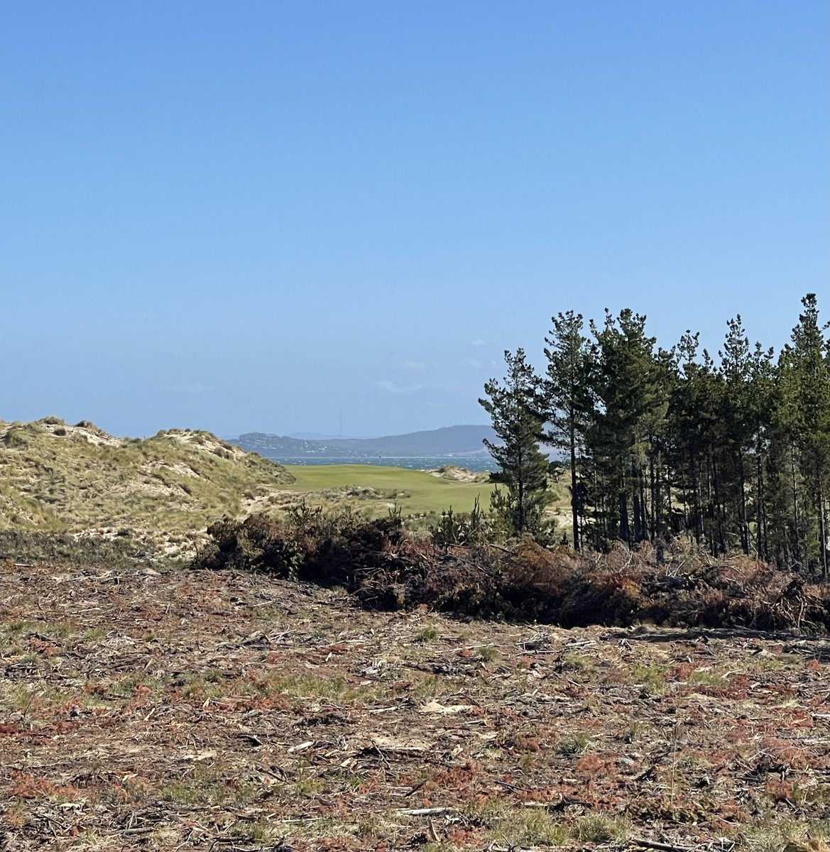 Mike Clayton tweet media